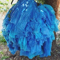 a blue plastic bag hanging from a tree