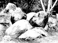 a black and white photo of a pile of garbage bags